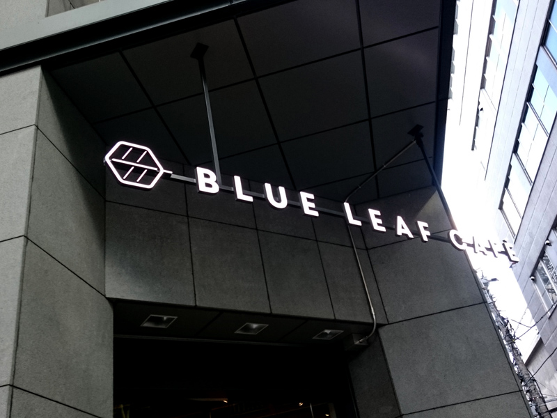 blue leaf 01